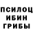Псилоцибиновые грибы Psilocybine cubensis Tatyana Krainova