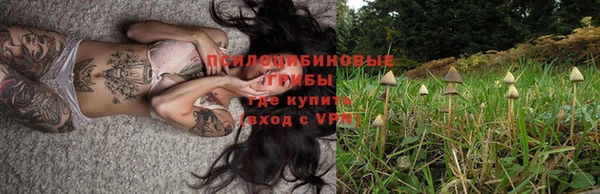 МДМА Дмитриев