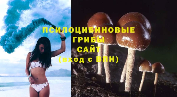 меф Дмитров